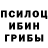 Псилоцибиновые грибы мицелий Nikoranga Hancy