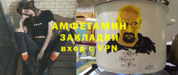 индика Елабуга