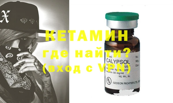 индика Елабуга