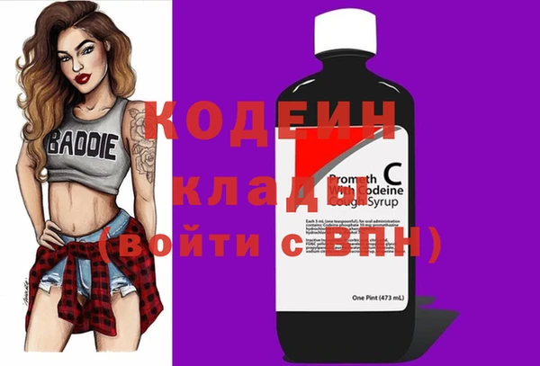 стаф Елизово