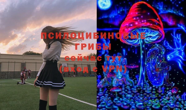индика Елабуга