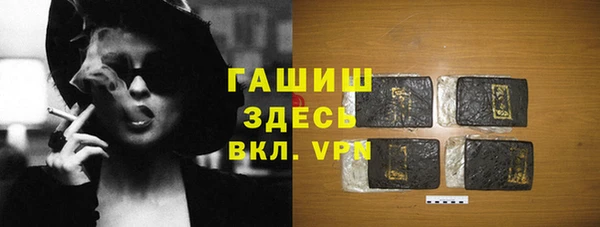индика Елабуга