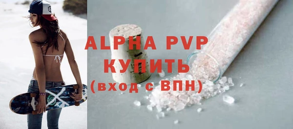 стаф Елизово