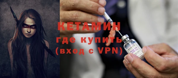 индика Елабуга