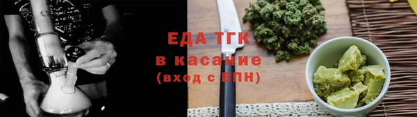 индика Елабуга
