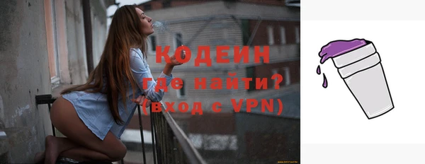 стаф Елизово