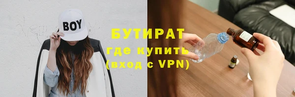 индика Елабуга