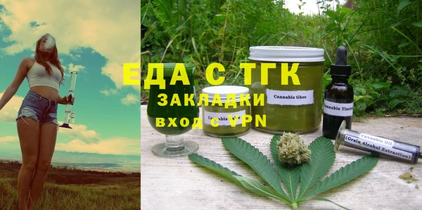 индика Елабуга