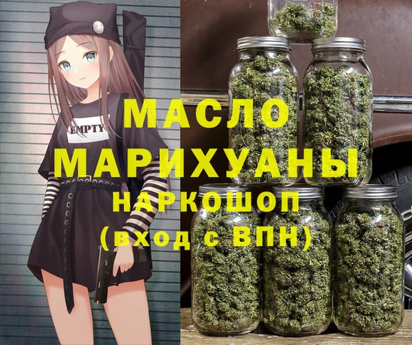 индика Елабуга