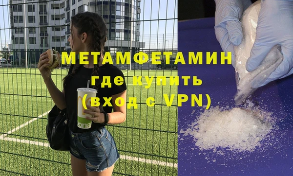 индика Елабуга