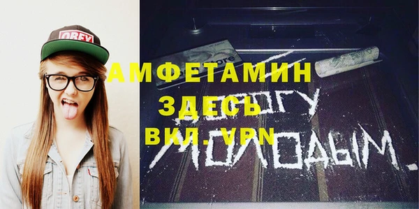 индика Елабуга