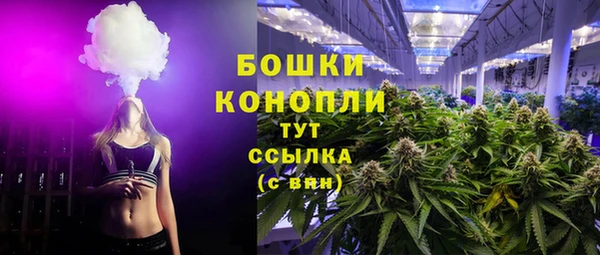индика Елабуга