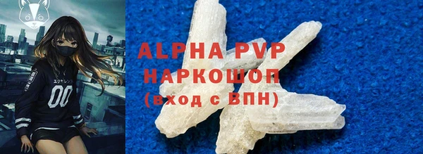 индика Елабуга