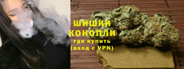 стаф Елизово