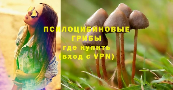индика Елабуга