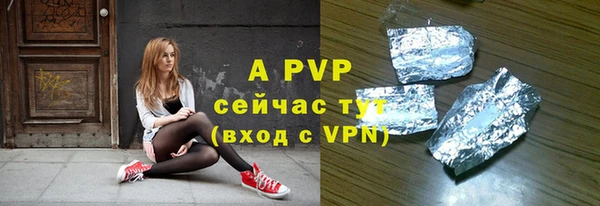 индика Елабуга