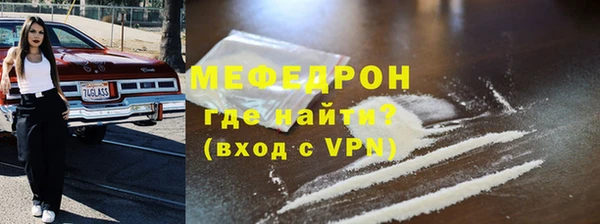 индика Елабуга
