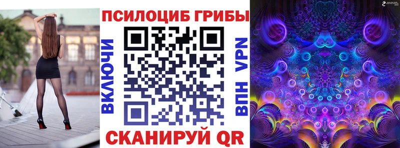 где купить наркоту  Зубцов  Галлюциногенные грибы прущие грибы 
